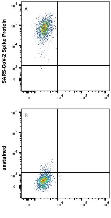 HEK293 human embryonic kidney cells transfected with human ACE-2 were stained with (A) 1 µg/mL (100 µL/well) Recombinant SARS-CoV-2 B.1.617.1 Spike (GCN4-IZ) His-tag Alexa Fluor® 647 Protein (Catalog # AFR10861) or (B) unstained