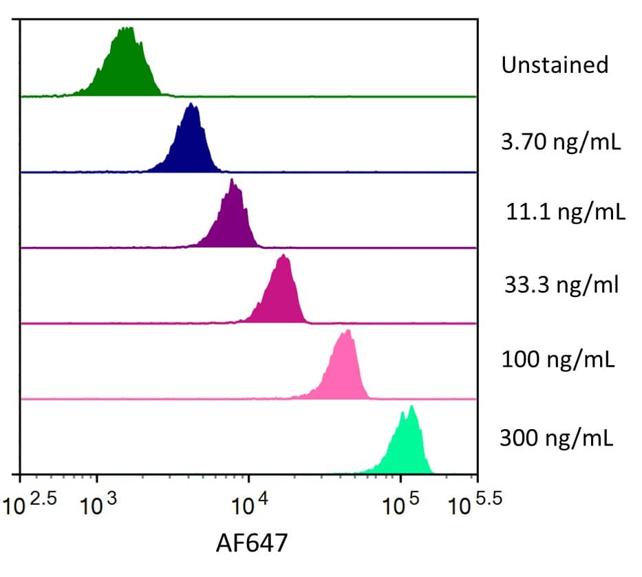 Streptavidin coated beads conjugated to biotinylated anti-human ErbB2/Her2 Monoclonal Antibody were stained with the indicated concentrations of Recombinant Human ErbB2/Her2 Fc Chimera His-tag Alexa Fluor® 647 (Catalog # AFR1129). 