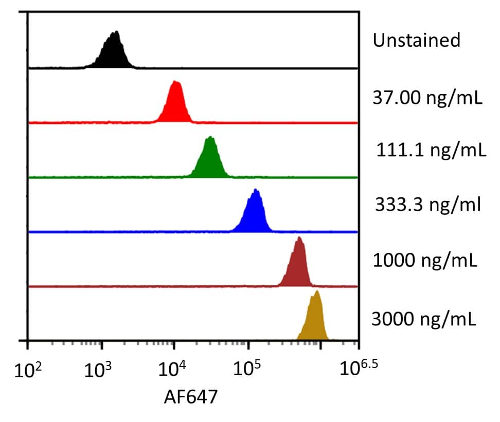 Streptavidin coated beads conjugated to biotinylated anti-human Siglec‑2/CD22 Monoclonal Antibody were stained with the indicated concentrations of Recombinant Human Siglec‑2/CD22 Fc Chimera Alexa Fluor® 647 (Catalog # AFR1968). 