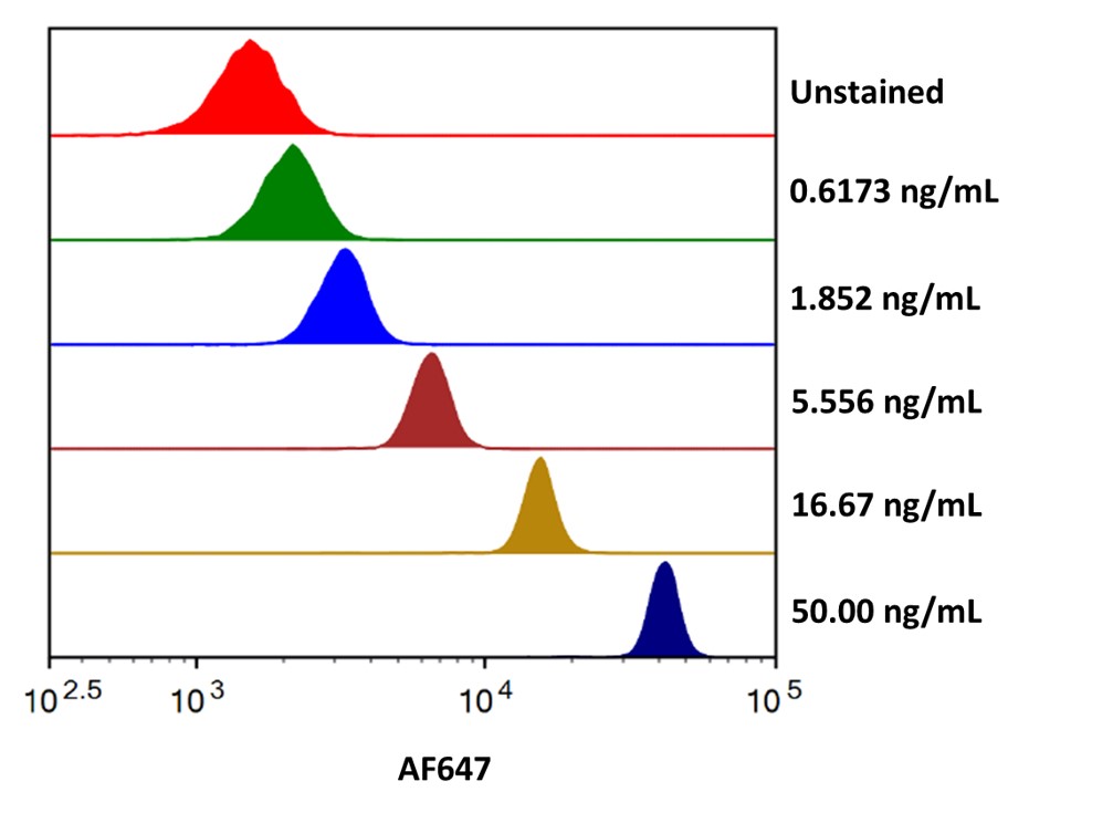 Streptavidin coated beads conjugated to Human Fc gamma RIII (CD16) Biotinylated Antibody (FAB2546B) were stained with the indicated concentrations of Recombinant Human Fc gamma RIIIA/CD16a Alexa Fluor® 647 (Catalog # AFR4325). 