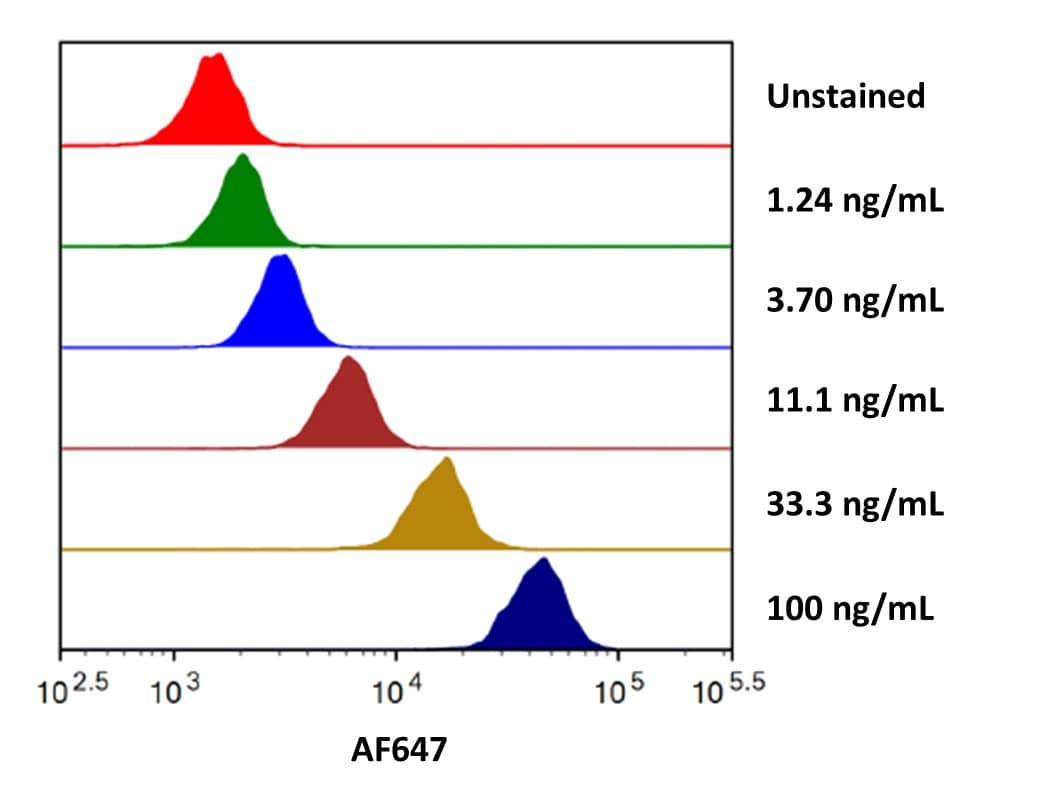 Streptavidin coated beads conjugated to biotinylated anti-human IL‑13 R alpha 2 Polyclonal Antibody (BAF614) were stained with the indicated concentrations of Recombinant Human IL‑13 R alpha 2 Fc Chimera Alexa Fluor® 647 (Catalog # AFR7147). 