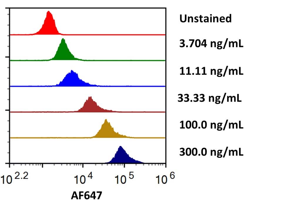Streptavidin coated beads conjugated to biotinylated Anti-Human B7‑2/CD86 were stained with the indicated concentrations of Recombinant Human B7‑2/CD86 Fc Chimera Alexa Fluor® 647 (Catalog # AFR7625). 