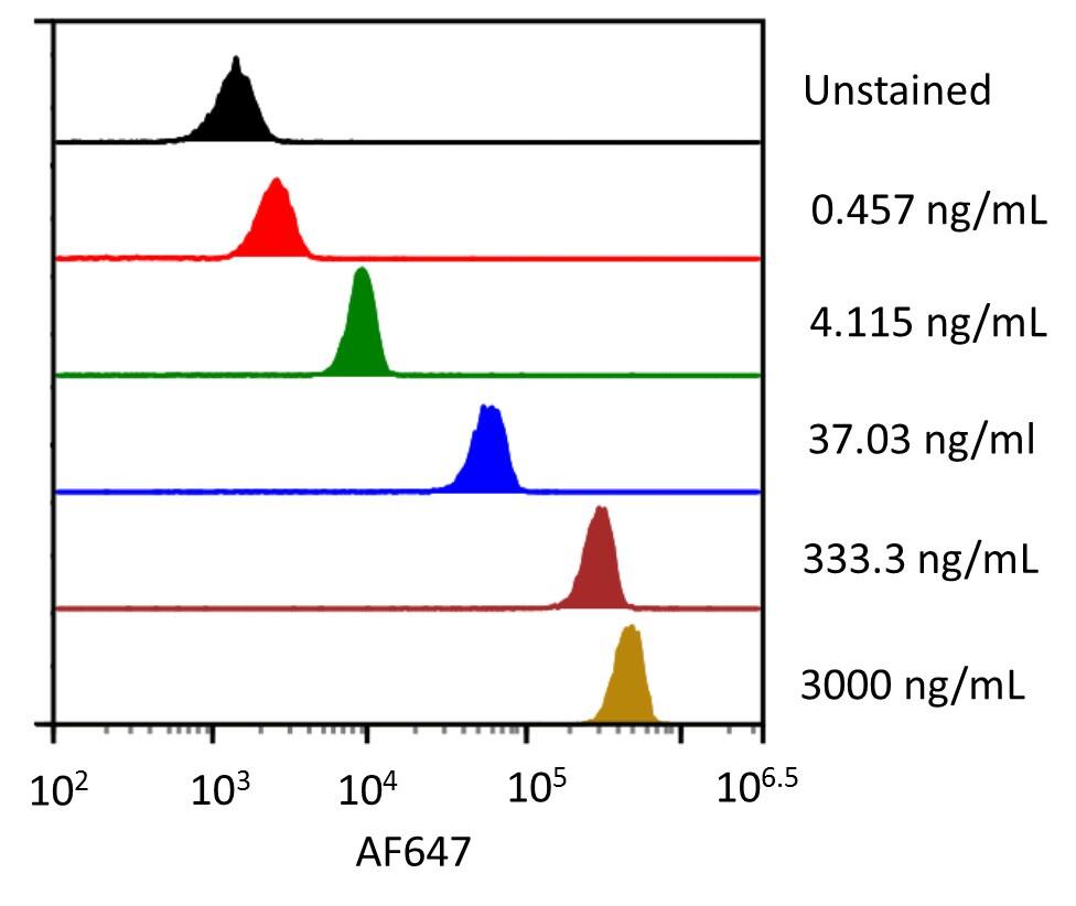 Streptavidin coated beads conjugated to biotinylated anti-human EMMPRIN/CD147 Monoclonal Antibody were stained with the indicated concentrations of Recombinant Human EMMPRIN/CD147 Fc Chimera Alexa Fluor® 647 (Catalog # AFR972). 