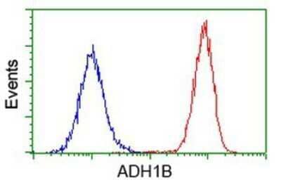 Flow Cytometry: alcohol dehydrogenase 1B Antibody (OTI4F12) - Azide and BSA Free [NBP2-70092] - Analysis of Hela cells, using anti-alcohol dehydrogenase 1B antibody, (Red), compared to a nonspecific negative control antibody (Blue).