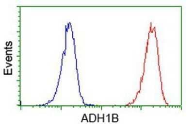 Flow Cytometry: alcohol dehydrogenase 1B Antibody (OTI4F12) - Azide and BSA Free [NBP2-70092] - Analysis of Jurkat cells, using anti-alcohol dehydrogenase 1B antibody, (Red), compared to a nonspecific negative control antibody (Blue).