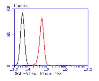 Flow Cytometry: alpha 1-Acid Glycoprotein Antibody (A2-B10) [NBP2-76901] - Flow cytometric analysis of HepG2 cells with Alpha-1-acid glycoprotein antibody at 1/100 dilution (red) compared with an unlabelled control (cells without incubation with primary antibody; black). Alexa Fluor 488-conjugated goat anti-mouse IgG was used as the secondary antibody.