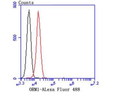 Flow Cytometry: alpha 1-Acid Glycoprotein Antibody (A4-G2-A3) [NBP2-76902] - Flow cytometric analysis of HepG2 cells with Alpha-1-acid glycoprotein antibody at 1/100 dilution (purple) compared with an unlabelled control (cells without incubation with primary antibody; yellow). Alexa Fluor 488-conjugated goat anti-rabbit IgG was used as the secondary antibody.