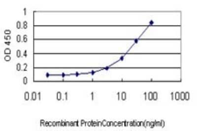 ELISA: alpha-1A Adrenergic R/ADRA1A Antibody (4C7) [H00000148-M01] - Detection limit for recombinant GST tagged ADRA1A is approximately 0.3ng/ml as a capture antibody.