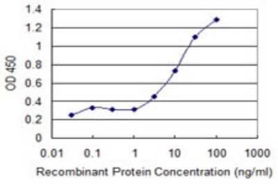 ELISA: alpha 1B-Glycoprotein Antibody (4F6) [H00000001-M02] - Detection limit for recombinant GST tagged A1BG is 1 ng/ml as a capture antibody.