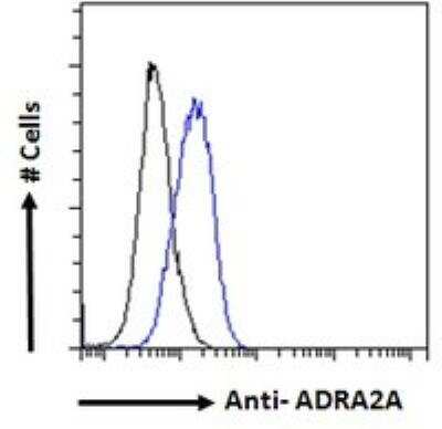 Flow Cytometry: alpha-2A Adrenergic R/ADRA2A Antibody [NB100-2819] - Analysis of paraformaldehyde fixed MCF7 cells (blue line), permeabilized with 0.5% Triton. Primary incubation overnight (10 ug/mL) followed by Alexa Fluor 488 secondary antibody (1 ug/mL). IgG control: Unimmunized goat IgG (black line) followed by Alexa Fluor 488 secondary antibody.