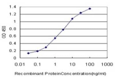 Sandwich ELISA: alpha Endosulfine Antibody (1H7) [H00002029-M02] - Detection limit for recombinant GST tagged ENSA is approximately 0.1ng/ml as a capture antibody.