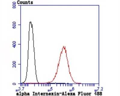 Flow Cytometry: alpha-Internexin Antibody (JU25-03) [NBP2-75407] - Analysis of M2A cells with alpha Internexin antibody at 1/100 dilution (red) compared with an unlabelled control (cells without incubation with primary antibody; black). Alexa Fluor 488-conjugated goat anti rabbit IgG was used as the secondary antibody.