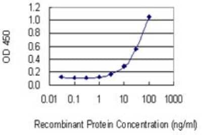Sandwich ELISA: alpha-Methylacyl-CoA Racemase/AMACR Antibody (1D8) [H00023600-M02] - Detection limit for recombinant GST tagged AMACR is 1 ng/ml as a capture antibody.