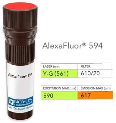 Product Image: alpha-Smooth Muscle Actin Antibody (1A4/asm-1) [Alexa Fluor® 594] [NBP2-33006AF594] - Vial of Alexa Fluor 594 conjugated antibody. Alexa Fluor 594 is optimally excited at 590 nm by the Yellow-Green laser (561 nm) and has an emission maximum of 617 nm.