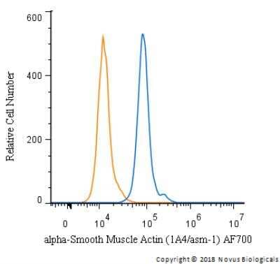 An intracellular stain was performed on HeLa cells with alpha-Smooth Muscle Actin Antibody (1A4/asm-1) NBP2-34522AF700 (blue) and a matched isotype control (orange). Cells were fixed with 4% PFA and then permeabilized with 0.1% saponin. Cells were incubated in an antibody dilution of 10 ug/mL for 30 minutes at room temperature. Both antibodies were conjugated to Alexa Fluor 700.