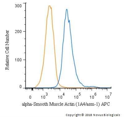 An intracellular stain was performed on HeLa cells with alpha-Smooth Muscle Actin Antibody (1A4/asm-1) NBP2-34522APC (blue) and a matched isotype control (orange). Cells were fixed with 4% PFA and then permeabilized with 0.1% saponin. Cells were incubated in an antibody dilution of 1 ug/mL for 30 minutes at room temperature. Both antibodies were conjugated to Allophycocyanin. 