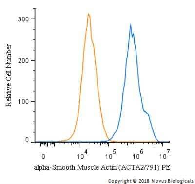 Flow Cytometry: alpha-Smooth Muscle Actin Antibody (ACTA2/791) [PE] [NBP2-47698PE] - An intracellular stain was performed on HepG2 cells with alpha-Smooth Muscle Actin Antibody (ACTA2/791) NBP2-47698PE (blue) and a matched isotype control (orange). Cells were fixed with 4% PFA and then permeabilized with 0.1% saponin. Cells were incubated in an antibody dilution of 5 ug/mL for 30 minutes at room temperature. Both antibodies were conjugated to phycoerythrin.