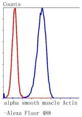 Flow Cytometry: alpha-Smooth Muscle Actin Antibody (SY25-03) [NBP2-67436] - Analysis of Hela cells with alpha smooth muscle Actin antibody at 1/50 dilution (blue) compared with an unlabelled control (cells without incubation with primary antibody; red). Alexa Fluor 488-conjugated goat anti rabbit IgG was used as the secondary ant