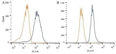 Flow Cytometry: alpha-Synuclein Antibody (24.8) - Azide and BSA Free [NBP2-80572] - Intracellular flow cytometric staining of 1 x 10^6 CHO (A) and HeLa (B) cells using Synuclein-alpha [Nitrate Tyr125, Nitrate Tyr133] antibody (dark blue). Isotype control shown in orange. An antibody concentration of 1 ug/1x10^6 cells was used. Image from the standard format of this antibody.