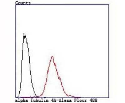 Flow Cytometry: alpha Tubulin 4a Antibody (JM73-24) [NBP2-67148] - Analysis of Hela cells with alpha Tubulin 4A antibody at 1/100 dilution (red) compared with an unlabelled control (cells without incubation with primary antibody; black).
