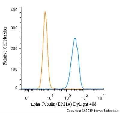 Flow Cytometry: alpha Tubulin Antibody (DM1A) - Azide and BSA Free [NBP2-80570] - An intracellular stain was performed on HeLa cells with alpha Tubulin (DM1A) Antibody NB100-690G (blue) and a matched isotype control (orange). Cells were fixed with 4% PFA and then permeabilized with 0.1% saponin. Cells were incubated in an antibody dilution of 5 ug/mL for 30 minutes at room temperature. Both antibodies were directly conjugated to DyLight 488.