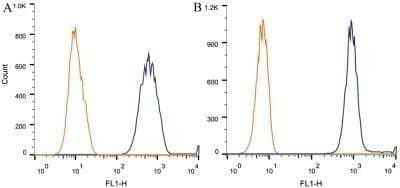 Flow Cytometry: alpha Tubulin Antibody (DM1A) - Azide and BSA Free [NBP2-80570] - Intracellular flow cytometric staining of 1 x 10^6 CHO (A) and HEK-293 (B) cells using alpha Tubulin antibody (dark blue). Isotype control shown in orange. An antibody concentration of 1 ug/1x10^6 cells was used. Image from the standard format of this antibody.