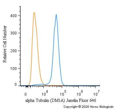 Flow Cytometry: alpha Tubulin Antibody (DM1A) [Janelia Fluor® 646] [NB100-690JF646] - An intracellular stain was performed on HeLa cells with alpha Tubulin (DM1A) Antibody NB100-690JF646 (blue) and a matched isotype control (orange). Cells were fixed with 4% PFA and then permeabilized with 0.1% saponin. Cells were incubated in an antibody dilution of 2.5 ug/mL for 30 minutes at room temperature. Both antibodies were conjugated to Janelia Fluor 646.