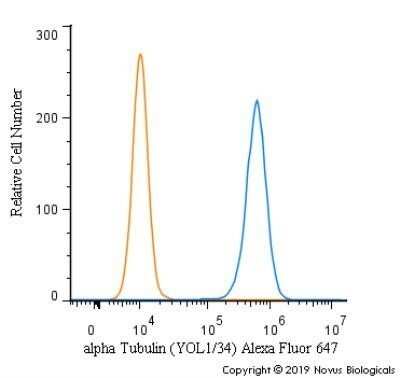 Flow Cytometry: alpha Tubulin Antibody (YOL1/34) - Azide and BSA Free [NBP2-80569] - An intracellular stain was performed on HeLa cells with alpha Tubulin Antibody [YOL1/34] NB100-1639AF647 (blue) and a matched isotype control (orange). Cells were fixed with 4% PFA and then permeabilized with 0.1% saponin. Cells were incubated in an antibody dilution of 2.5 ug/mL for 30 minutes at room temperature. Both antibodies were directly conjugated to Alexa Fluor 647. Image using the Alexa Fluor 647 format of this antibody.