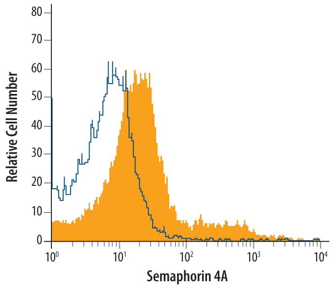 Human peripheral blood monocytes treated for 24 hours with 50 ng/mL PMA and 500 ng/mL of calcium ionomycin were stained with Mouse Anti-Human Semaphorin 4A Monoclonal Antibody (Catalog # MAB4694, filled histogram) or isotype control antibody (Catalog # MAB002, open histogram), followed by Allophycocyanin-conjugated Anti-Mouse IgG Secondary Antibody (Catalog # F0101B).