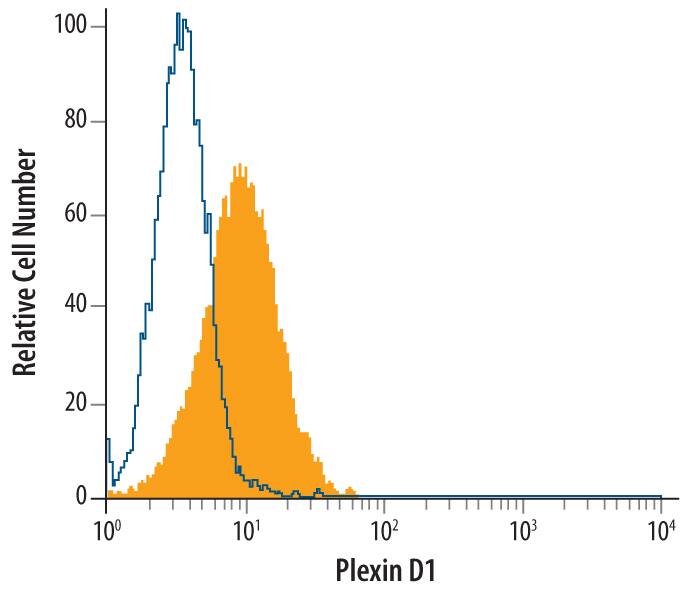 K562 human chronic myelogenous leukemia cell line was stained with Mouse Anti-Human Plexin D1 Monoclonal Antibody (Catalog # MAB4160, filled histogram) isotype control antibody (Catalog # MAB0041, open histogram), followed by Phycoerythrin-conjugated Anti-Mouse IgG Secondary Antibody (Catalog # F0102B).