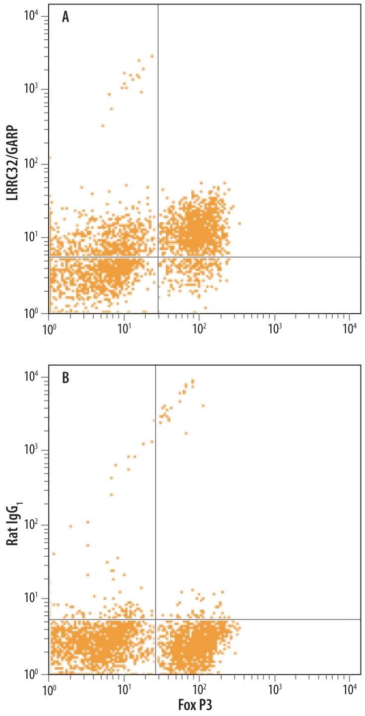 Mouse splenocytes were stimulated with 10 µL/mL anti-CD3/anti-CD28, Recombinant Mouse IL-2 (Catalog # 402-ML), and Human TGF-beta 1 (Catalog # 100-B) for 3 days to induce T regulatory cells (Tregs). Tregs were then stained with Rat Anti-Mouse CD4 Alexa Fluor® 488-conjugated Monoclonal Antibody (Catalog # FAB554G), Phycoerythrin-conjugated Anti-FoxP3, and either (A) Rat Anti-Mouse LRRC32/GARP Monoclonal Antibody (Catalog # MAB62291) or (B) Rat IgG1 Isotype Control (Catalog # MAB005) followed by Allophycocyanin-conjugated Anti-Rat IgG Secondary Antibody (Catalog # F0113). Dot plots are gated on CD4+ T cells.