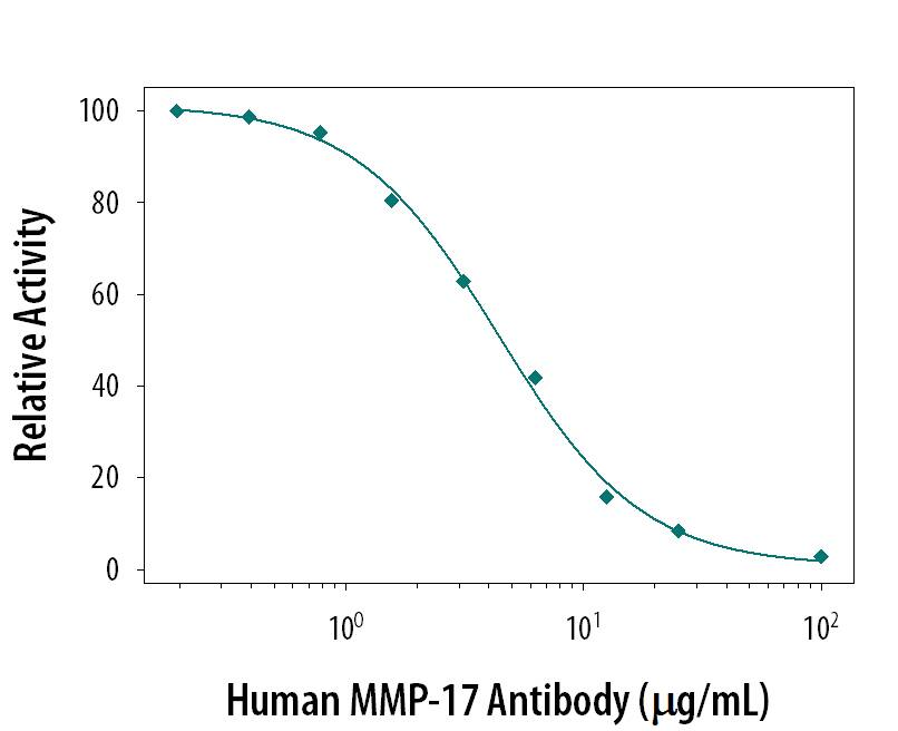 Neutralization MMP-17 Antibody (823511) [Unconjugated]