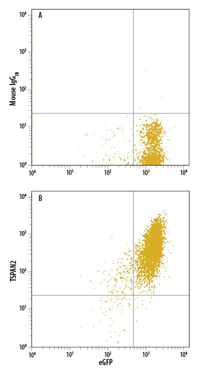 Flow Cytometry TSPAN2 Antibody (822509)