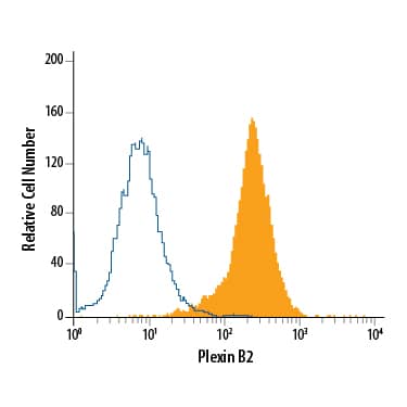 Flow Cytometry Plexin B2 Antibody [Unconjugated]