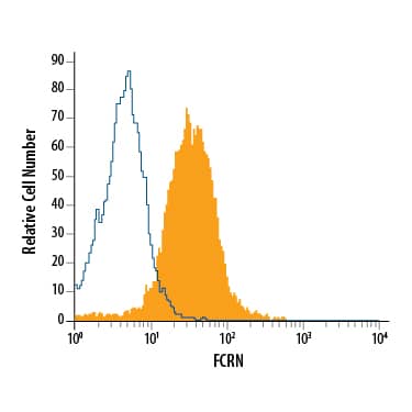 Intracellular Staining by Flow Cytometry FCRN/FCGRT Antibody [Unconjugated]