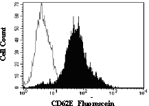Human umbilical cord endothelial cells cultured for 4 hours in the presence of 10 ng/mL of rhTNF-a were stained with anti-human CD62E-Fluorescein (R&D Systems, Cat. # BBA21, filled histogram) or with isotype control (R&D Systems, Cat. # IC002F, open histogram).