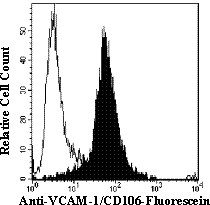 Anti-human VCAM-1/CD106 staining of HUT-78 cells using either isotype control (Catalog # IC003F; open histogram) or with anti-VCAM 1-Fluorescein (Catalog # BBA22; filled histogram).