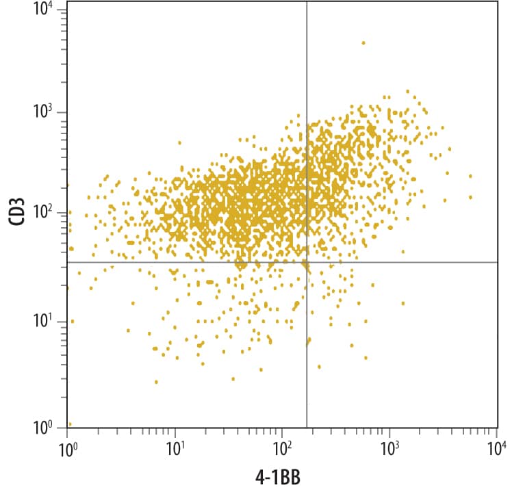 Flow Cytometry 4-1BB/TNFRSF9/CD137 Antibody [Unconjugated]
