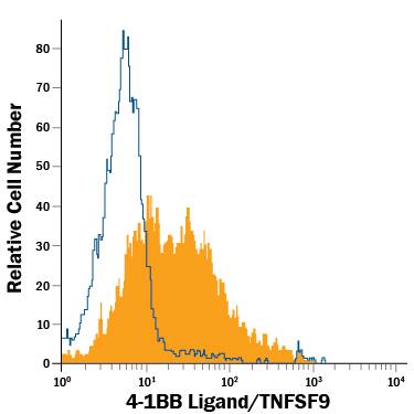 Raji human Burkitt's lymphoma cell line was stained with Mouse Anti-Human 4-1BB Ligand/TNFSF9 PE-conjugated Monoclonal Antibody (Catalog # FAB2295P, filled histogram) or isotype control antibody (IC0041P, open histogram). View our protocol for Staining Membrane-associated Proteins.