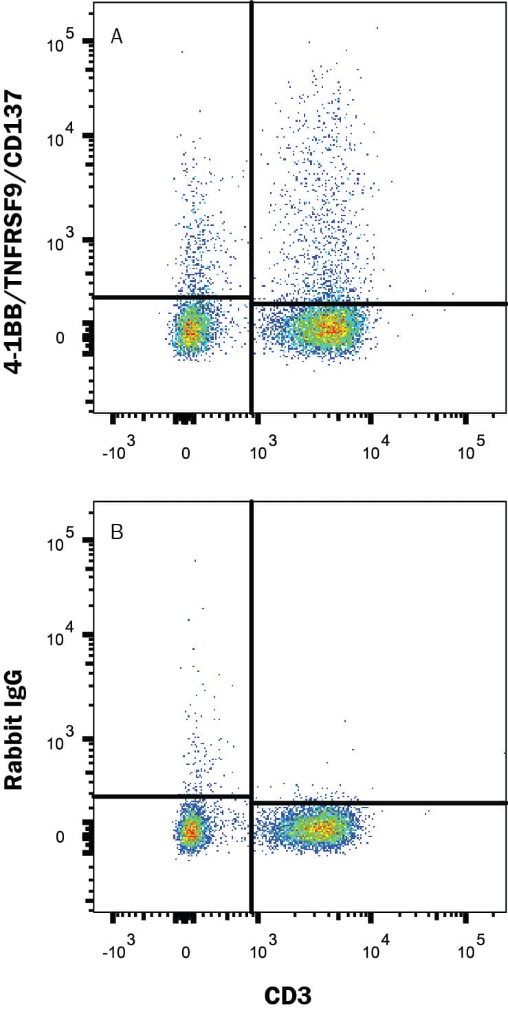 Human PBMC treated with PHA for 48 hr were stained with (A) Rabbit Anti-Human 4-1BB/TNFRSF9/CD137 Monoclonal Antibody (Catalog # MAB8382) or (B) Rabbit IgG control antibody (Catalog # MAB1050) followed by APC-conjugated Goat-anti Rabbit IgG secondary antibody (Catalog # F0111) and Mouse anti-Human CD3 PE-conjugated Monoclonal Antibody (Catalog # FAB100P). View our protocol for Staining Membrane-associated Proteins.