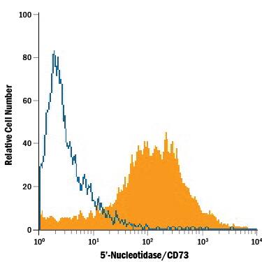 Flow Cytometry 5'-Nucleotidase/CD73 Antibody [Unconjugated]