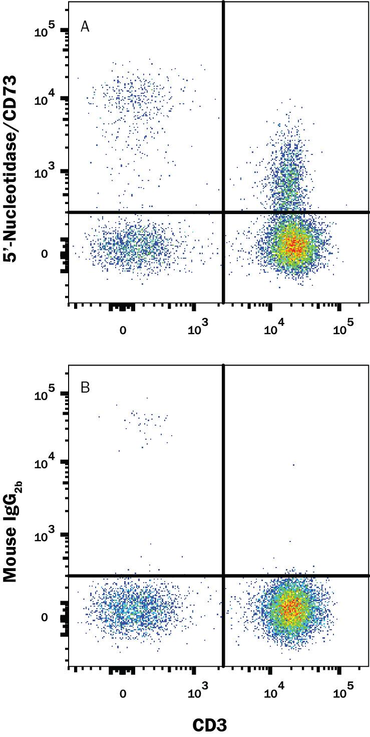 Human peripheral blood mononuclear cells (PBMCs) were stained with Mouse Anti-Human CD3e APC-conjugated Monoclonal Antibody (Catalog # FAB100A) and either (A) Mouse Anti-Human 5'-Nucleotidase/CD73 PE-conjugated Monoclonal Antibody (Catalog # FAB5795P) or (B) Mouse IgG2BPhycoerythrin Isotype Control (Catalog # IC0041P). View our protocol for Staining Membrane-associated Proteins.