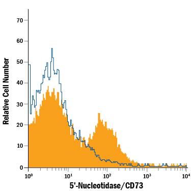 Equine peripheral blood mononuclear cells (PBMCs) were stained with Mouse Anti-Human/Equine 5'-Nucleotidase/CD73 Monoclonal Antibody (Catalog # MAB5795, filled histogram) or isotype control antibody (MAB004, open histogram), followed by Phycoerythrin-conjugated Anti-Mouse IgG Secondary Antibody (F0102B).