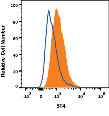 BG01V human embryonic stem cells were stained with Mouse Anti-Human 5T4 Alexa Fluor® 594-conjugated Monoclonal Antibody (Catalog # FAB49751T, filled histogram) or isotype control antibody (Catalog # IC002T, open histogram). View our protocol for Staining Membrane-associated Proteins.