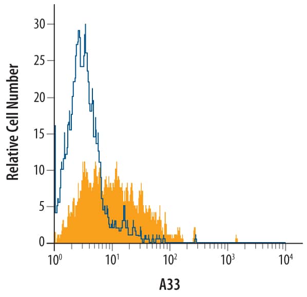 HT-29 human colon carcinoma cell line was stained with Goat Anti-Human A33 Biotinylated Antigen Affinity-purified Polyclonal Antibody (Catalog # BAF3080, filled histogram) or isotype control antibody (Catalog # BAF108, open histogram), followed by Streptavidin-Phycoerythrin (Catalog # F0040).