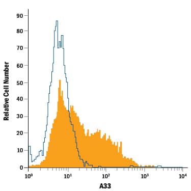 HT-29 human colon adenocarcinoma cell line was stained with Rat Anti-Human A33 Alexa Fluor® 488-conjugated Monoclonal Antibody (Catalog # FAB3080G, filled histogram) or isotype control antibody (Catalog # IC006G, open histogram). View our protocol for Staining Membrane-associated Proteins.
