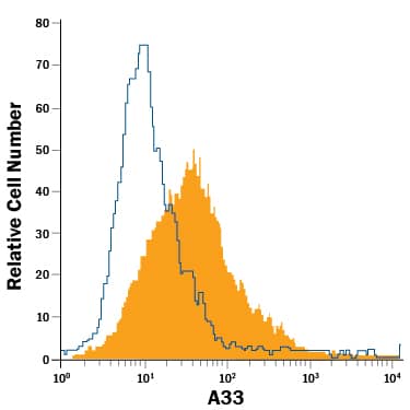 HT-29 human colon adenocarcinoma cell line was stained with Rat Anti-Human A33 PE-conjugated Monoclonal Antibody (Catalog # FAB3080P, filled histogram) or isotype control antibody (Catalog # IC006P, open histogram). View our protocol for Staining Membrane-associated Proteins.