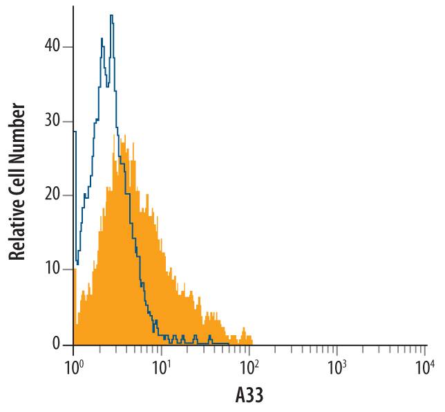 HT-29 human colon carcinoma cell line was stained with Rat Anti-Human A33 Monoclonal Antibody (Catalog # MAB3080, filled histogram) or isotype control antibody (Catalog # MAB006, open histogram), followed by Phycoerythrin-conjugated Anti-Rat IgG F(ab')2Secondary Antibody (Catalog # F0105B).