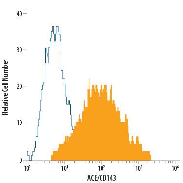 Human monocyte-derived dendritic cells were stained with Mouse Anti-Human ACE/CD143 PE-conjugated Mono-clonal Antibody (Catalog # FAB929P, filled histogram) or isotype control antibody (Catalog # IC002P, open histogram). View our protocol for Staining Membrane-associated Proteins.