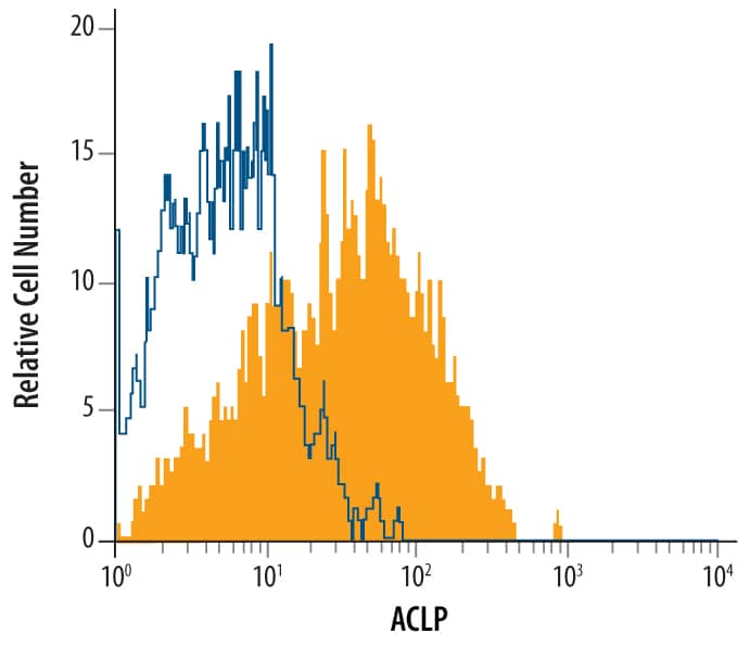Intracellular Staining by Flow Cytometry AE Binding Protein 1/ACLP Antibody (590831) [Unconjugated]
